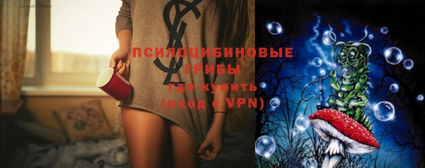 молекула духа Бугульма
