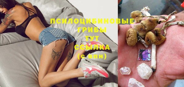 молекула духа Бугульма