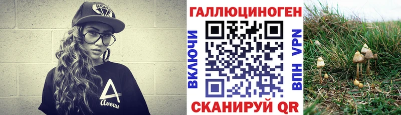 Галлюциногенные грибы Psilocybine cubensis  Рузаевка 